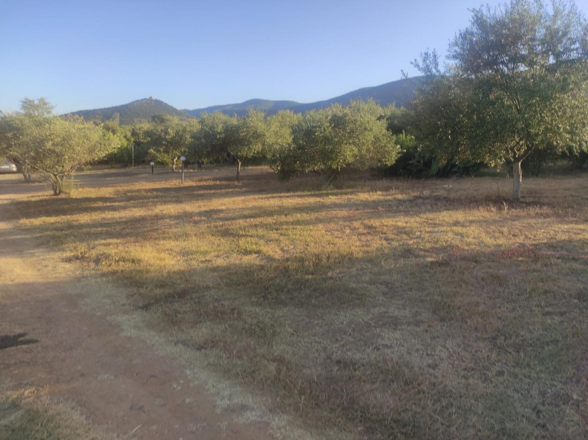 Sa Teria Village Tertenìa Buitenkant foto