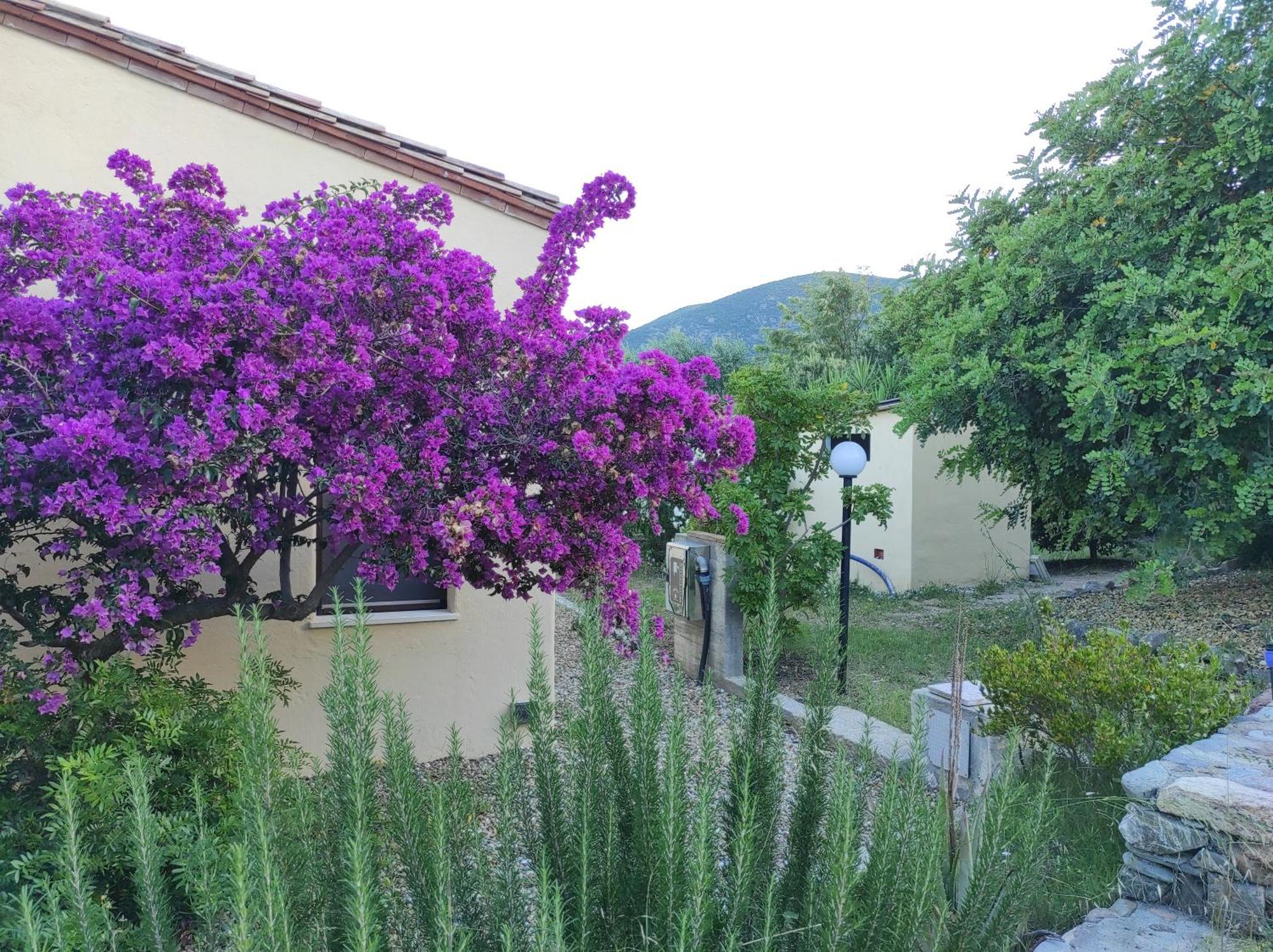 Sa Teria Village Tertenìa Buitenkant foto
