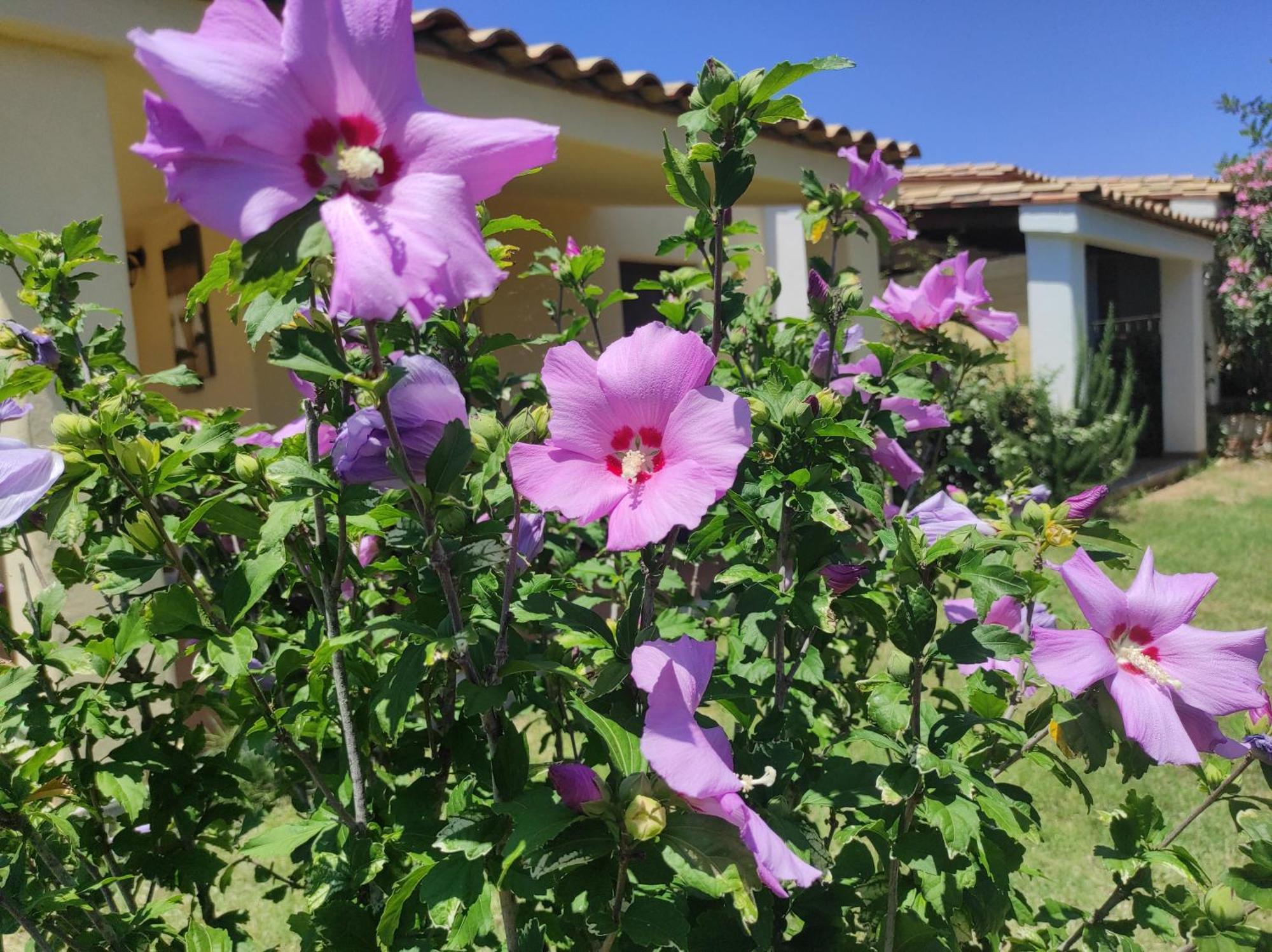 Sa Teria Village Tertenìa Buitenkant foto