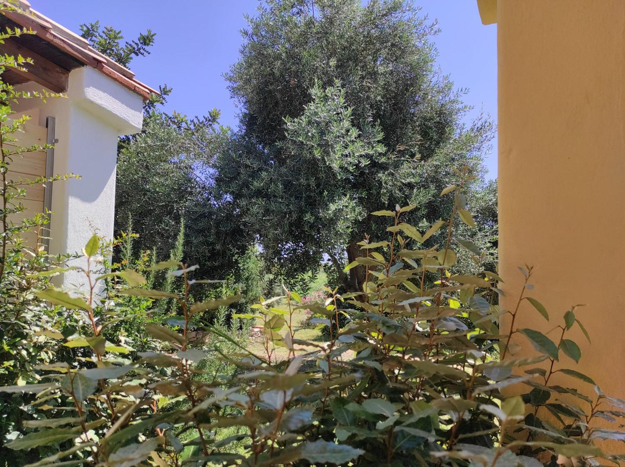 Sa Teria Village Tertenìa Buitenkant foto