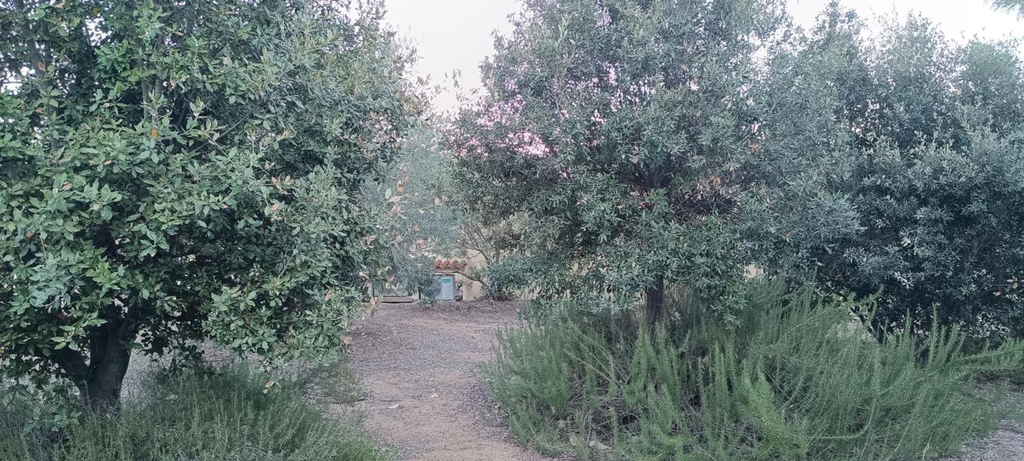 Sa Teria Village Tertenìa Buitenkant foto