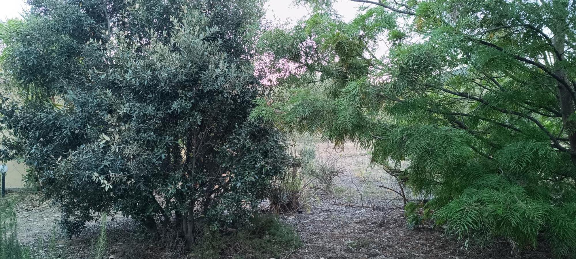 Sa Teria Village Tertenìa Buitenkant foto